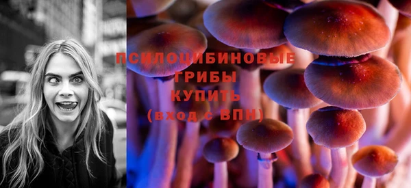 спиды Липки