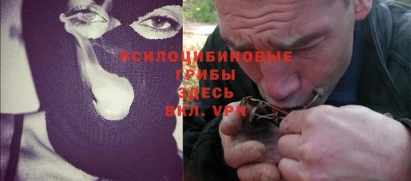 спиды Липки