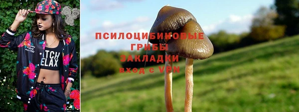 крисы Лихославль