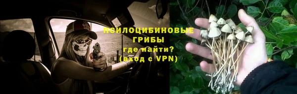 твердый Лиски