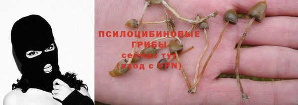 спиды Липки