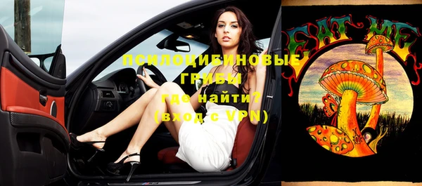 спиды Липки