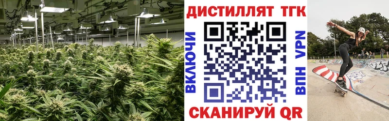 Купить где  Инта  Дистиллят ТГК Wax 