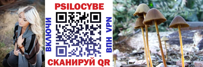 Купить где  Инта  Псилоцибиновые грибы MAGIC MUSHROOMS 